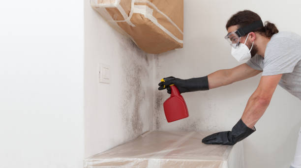 Professional Crawl Space Mold Remediation technician working in New Bloomfield, PA